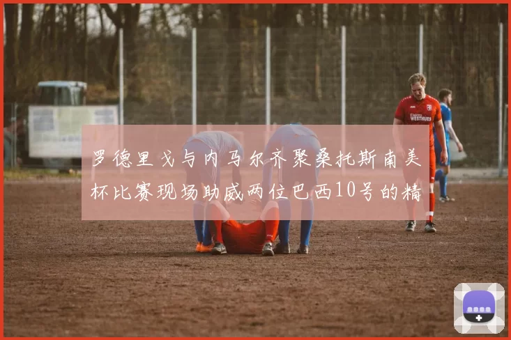 罗德里戈与内马尔齐聚桑托斯南美杯比赛现场助威两位巴西10号的精彩时刻